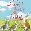 soniasanchez_habitsofrabbits_jack