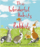 soniasanchez_habitsofrabbits_jack