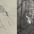 agataraczynska_goodnight-insects_2