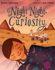 briannacaplansayres_nightnightcuriosity_covsm